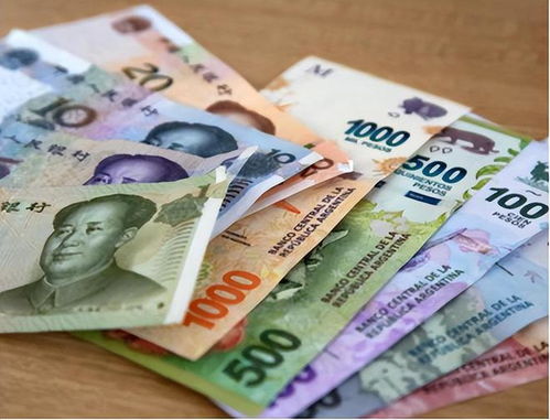 人民币的国际身份 从“人民币”到“货物及技术进出口”