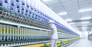 揭秘网易严选工厂 如何通过货物与技术进出口实现“好的生活没那么贵”